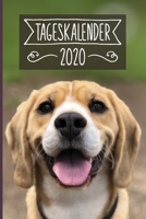 Tageskalender 2020: Terminkalender ca DIN A5 weiß über 370 Seiten I 1 Tag eine Seite I Jahreskalender I Beagle I Hunde 1702074978 Book Cover