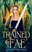 Trained by a Fae: A Fated Mates Romance (Fae of the Hazel Woods) B0CQD4NFW6 Book Cover