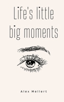 Life's little big moments 9395950595 Book Cover