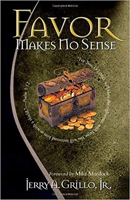 Favor Makes No Sense 1591852390 Book Cover