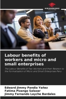 Labour benefits of workers and micro and small enterprises 6207798120 Book Cover