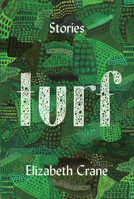 Turf: Stories 1619029340 Book Cover