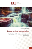 Économie d’entreprise: Application de la notion d'économie à l'entreprise 6202549742 Book Cover