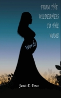 From the Wilderness to the Womb B0BGN97TDN Book Cover