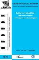 Culture et identités: approches cliniques, sociologiques et anthropologiques (Kabaro) (French Edition) 2343041946 Book Cover