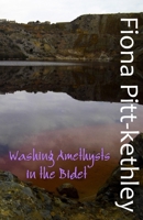 Washing Amethysts in the Bidet 1912777363 Book Cover