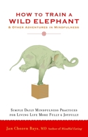 How to Train a Wild Elephant: And Other Adventures in Mindfulness 1590308174 Book Cover
