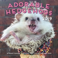 Adorable Hedgehogs Mini 2019: 16-Month Calendar - September 2018 through December 2019 1631064665 Book Cover