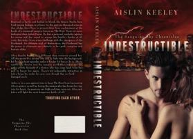 Indestructible 0990801500 Book Cover