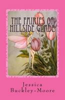 The Fairies of Hillside Glade: In Search of Light 1547005335 Book Cover