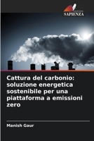 Cattura del carbonio: soluzione energetica sostenibile per una piattaforma a emissioni zero (Italian Edition) 6207178807 Book Cover