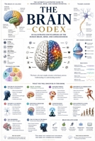 THE BRAIN CODEX B0H2LLT2S4 Book Cover