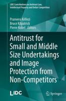 Antitrust for Small and Middle Size Undertakings and Image Protection from Non-Competitors 3642539998 Book Cover