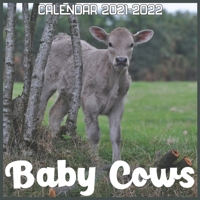 Baby Cows Calendar 2022: April 2021 Through December 2022 Square Photo Book Monthly Planner Baby Cows, small calendar B094LJ5BSC Book Cover