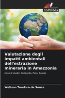 Valutazione degli impatti ambientali dell'estrazione mineraria in Amazzonia 6207273494 Book Cover