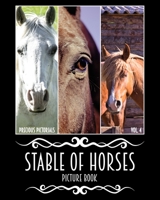 Precious Pictorials Stable Of Horses Picture Book Vol. 04: Horse Photo Book Horses Picture Book For Adults No Words Book 50 Color Images 8"x10" Matte Cover Finish 1981831630 Book Cover