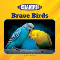 Brave Birds 1668948230 Book Cover