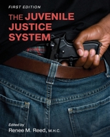 The Juvenile Justice System 1793518823 Book Cover