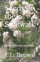 Seeds on the Sidewalk: Where did your seed fall? 1732599718 Book Cover