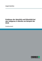 Probleme der Identität und Ethnizität bei den Indigenas in Mexiko am Beispiel der EZLN 3640138678 Book Cover