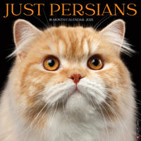 Just Persians 2025 12 X 12 Wall Calendar 1549246798 Book Cover