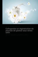 Callogenèse Et Régénération de Pousses de Glaïeul Sous Stress Salin 3838179102 Book Cover