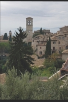 Mille Cose B086FX8QY7 Book Cover