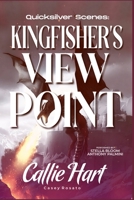Quicksilver Scenes: Kingfisher's Viewpoint: The Fae and Alchemy Series B0GRRNMCGC Book Cover