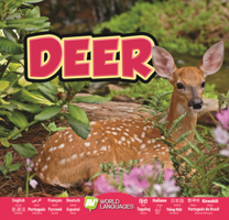 Deer B0GN2LFX3P Book Cover