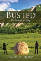 Busted 1637642032 Book Cover