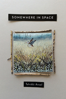 Somewhere in Space 0814252249 Book Cover