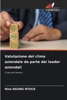 Valutazione del clima aziendale da parte dei leader aziendali (Italian Edition) 6208272386 Book Cover