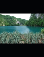 Phelps Family - From England to Virginia or Maryland to WV B08GVLWCYN Book Cover