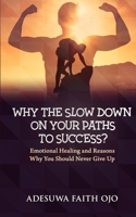 Why The Slow Down On Your Path To Success: Emotional Healing and Reasons Why Should Never Give Up B09BGF97NK Book Cover