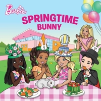 Barbie: Springtime Bunny 164036594X Book Cover