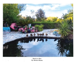 Ducks in a Row B0BVDH1CF4 Book Cover