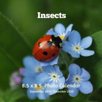 Insects 8.5 X 8.5 Photo Calendar September 2019 -December 2020: Monthly Calendar with U.S./UK/ Canadian/Christian/Jewish/Muslim Holidays- Insects Nature Bugs 1077091222 Book Cover