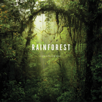 Rainforest 1419713973 Book Cover