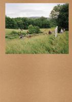 Widening the Lens: Photography, Ecology, and the Contemporary Landscape 0880390743 Book Cover
