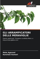 Gli Arrampicatori Delle Meraviglie (Italian Edition) 6208184673 Book Cover