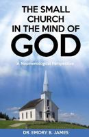 The Small Church in the Mind of God: A Noumenological Prespective 1931820171 Book Cover