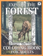 Explore The Forest Coloring Book For Adults: Relaxing Nature Coloring Book, Meditation With Realistic Wildlife Images B08KBTQ47L Book Cover