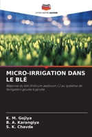 MICRO-IRRIGATION DANS LE BLÉ: Réponse du blé (triticum aestivum l.) au système de fertigation goutte à goutte (French Edition) 6207603567 Book Cover