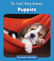 Puppies 1534179879 Book Cover