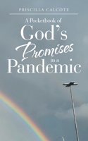 A Pocketbook of God's Promises in a Pandemic 1664208712 Book Cover