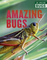 Amazing Bugs 0711248079 Book Cover