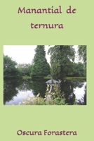 Manantial de Ternura B091WGBFBH Book Cover