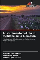 Adsorbimento del blu di metilene sulla biomassa (Italian Edition) 663057592X Book Cover