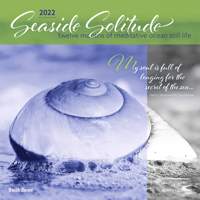 Seaside Solitude 2022 12 x 12 Inch Monthly Square Wall Calendar by Brush Dance, Nature Inspiration Seashore 1975439821 Book Cover