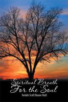 Spiritual Breath for the Soul: Stories That Heal the Heart 1493188526 Book Cover